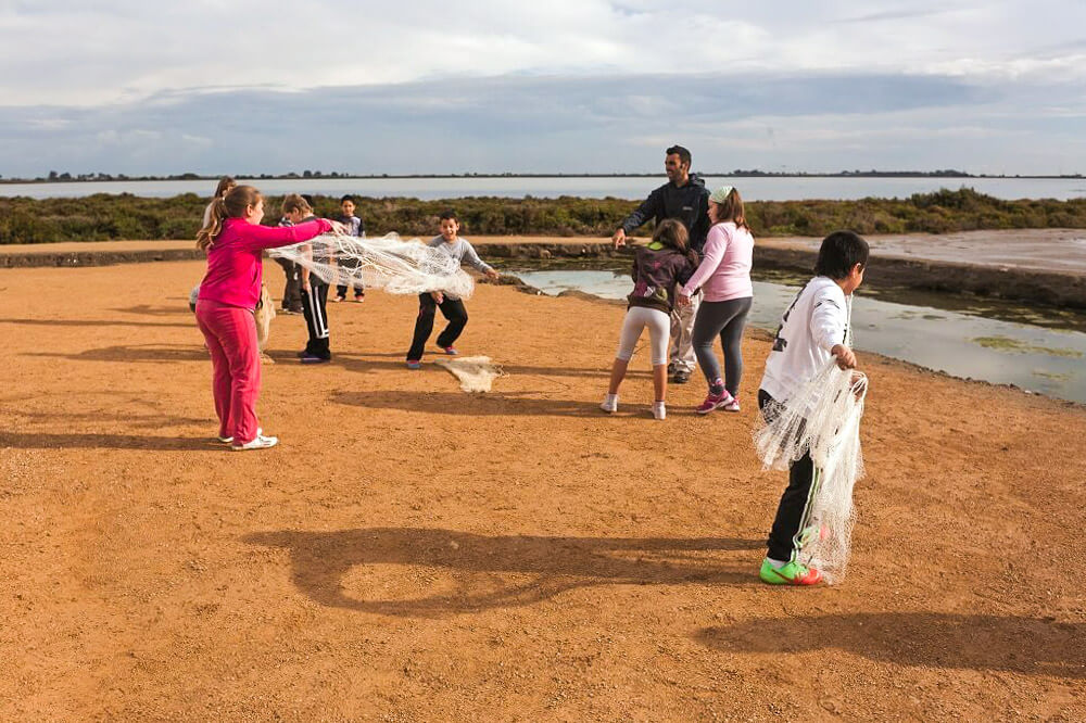 El bagul amagat, activitat per escoles a Món Natura Delta