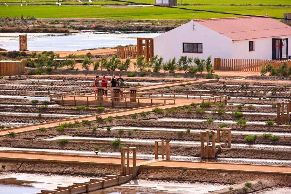 Un misteri a les salines, activitat escoles